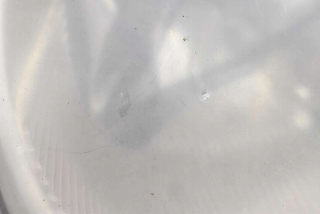 фото №11, Фара лівий лампа перед лінза eu 1c0941005 vw new beetle 98-05