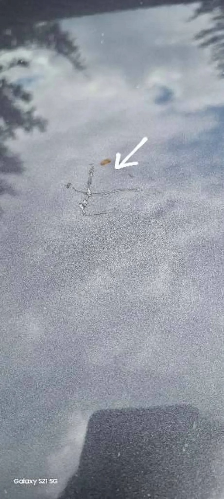 фото №10, Капот крышка двигателя bmw 3 e90 e91