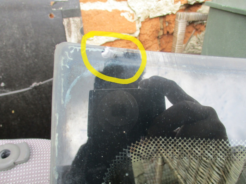 фото №5, Peugeot 206 -скло передня