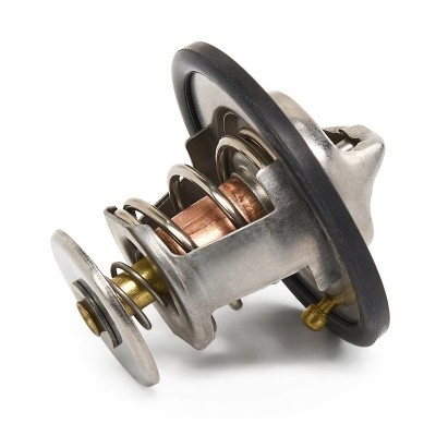 фото №3, Термостат ridex 316t0543