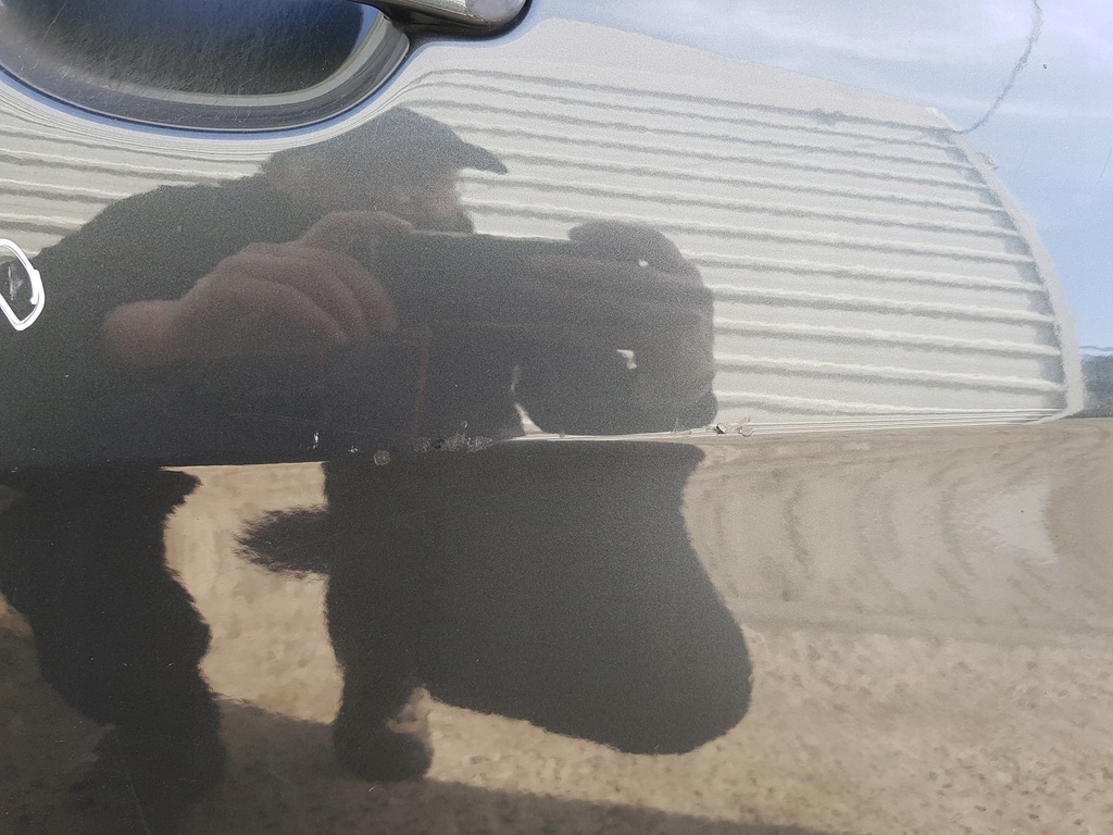 фото №5, Seat leon 2 ii 04-12r двері праве перед lw7z