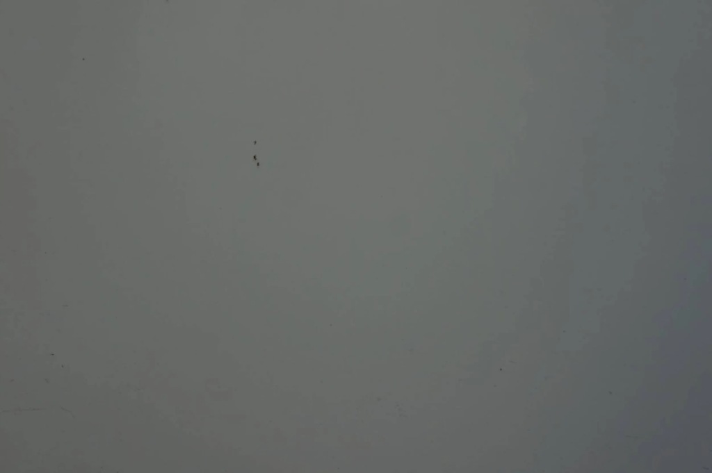 фото №6, Дверь левый задняя lf9e skoda superb ii lift kombi