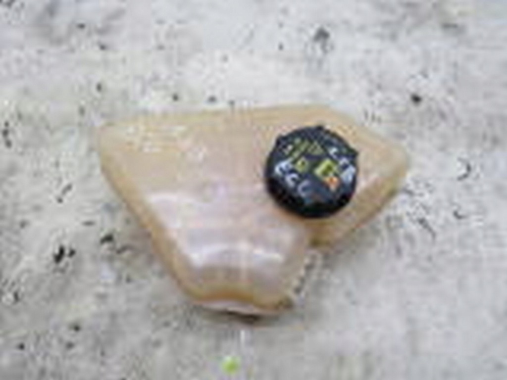 Купить Бачок бак расширительный ford ecosport 1.0 ecoboost