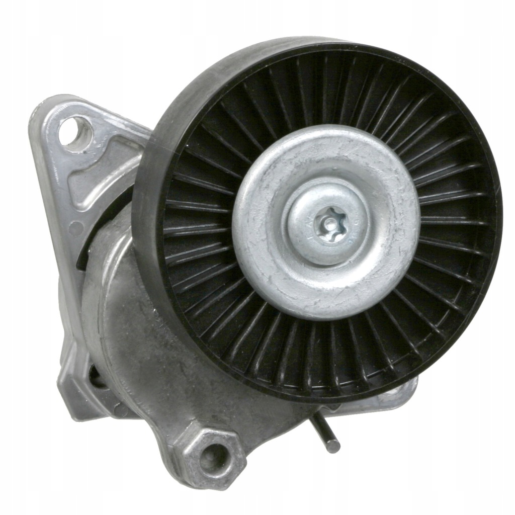 Купити Febi 15875 натягувач ремінь db