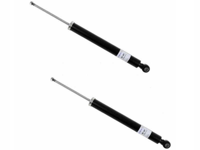 Купити Амортизатори задній sachs 318 067