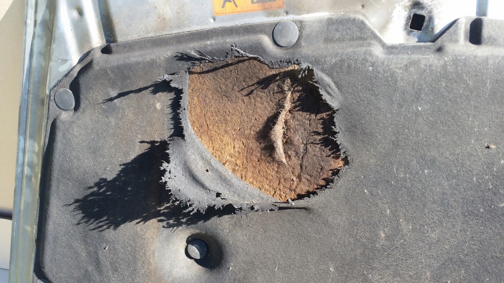 фото №12, Honda accord viii 8 капот перед передняя nh743m