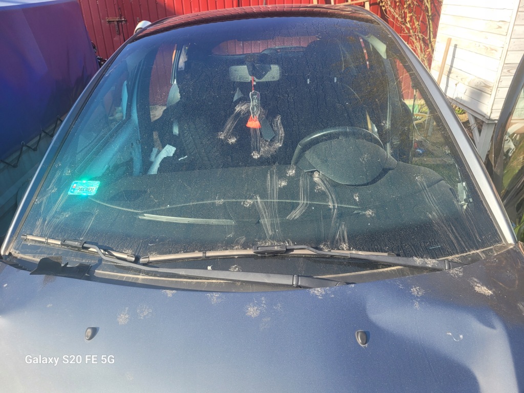 Купити Citroen c3 2 скло лобове панорама скло передня оригінал передня частина