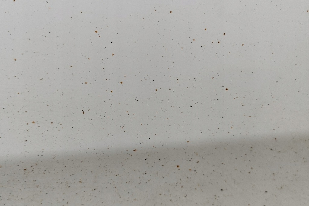 фото №6, Peugeot ion двері передні ліва 1607868780