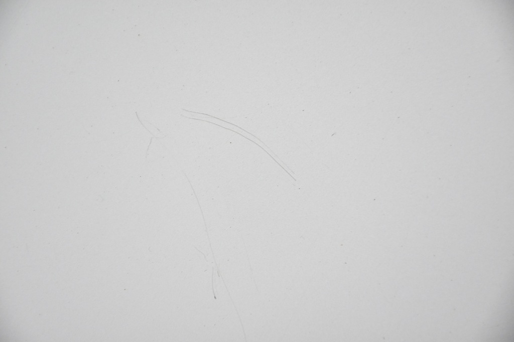 фото №6, Капот крышка двигателя opel vectra c z2av signum