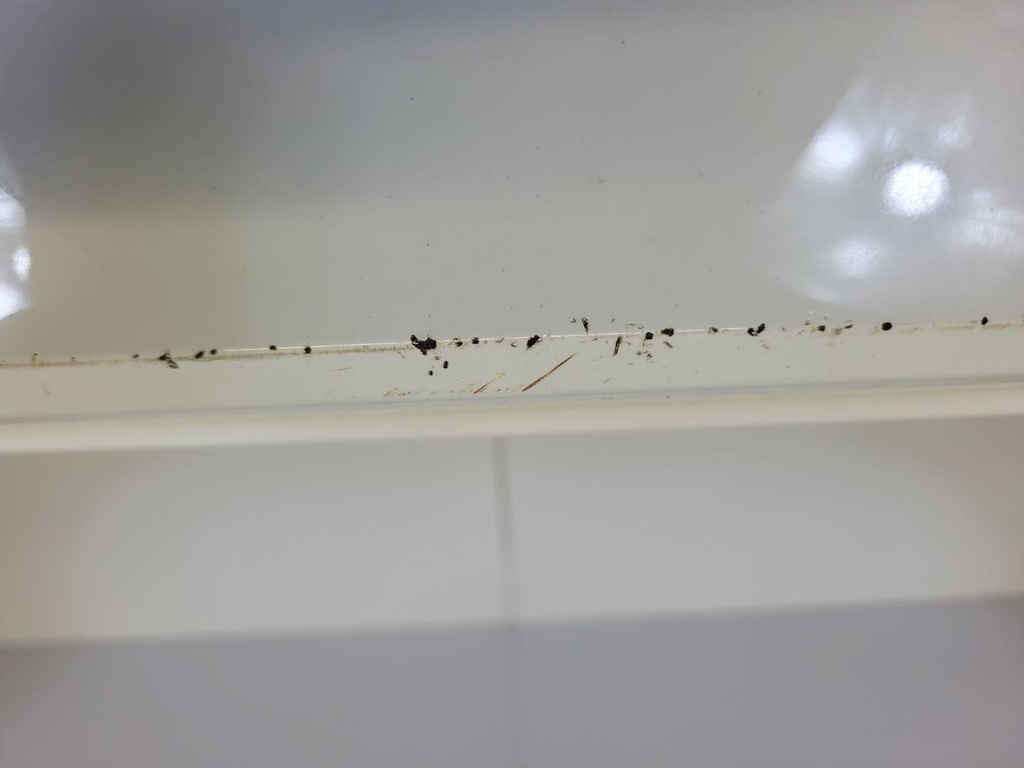 фото №13, Бампер задній seat arona 2020 6f9.807.425