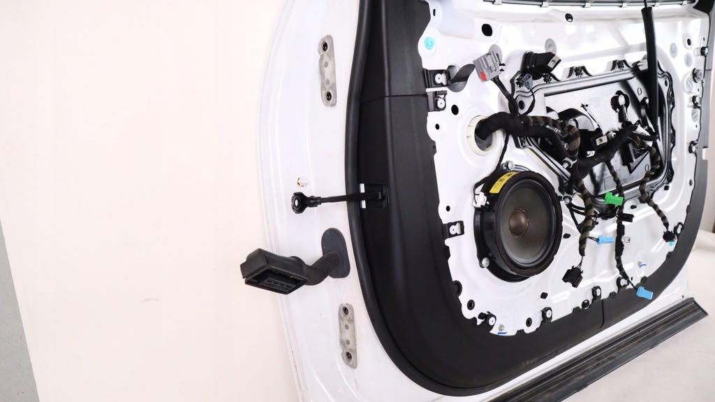 фото №9, Jaguar i-pace двері праве перед