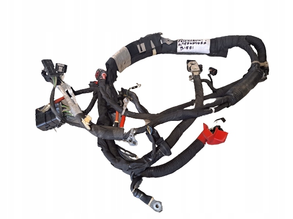 фото №1, Ford mustang 5.0 gt 19 r электропроводка редуктор