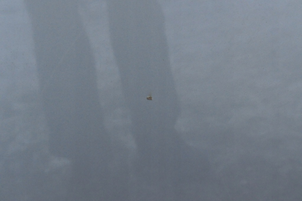 фото №10, Ford ranger капот крышка отсек двигателя