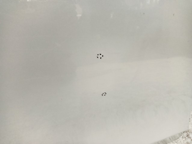 фото №3, Дверь правое задние правый задняя lexus ct 10-