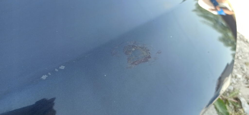 фото №8, Капот opel astra iv j оригінальний лак z22a