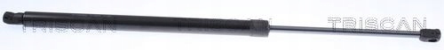 фото №1, Пружина газова, кришка багажника triscan 8710 292062