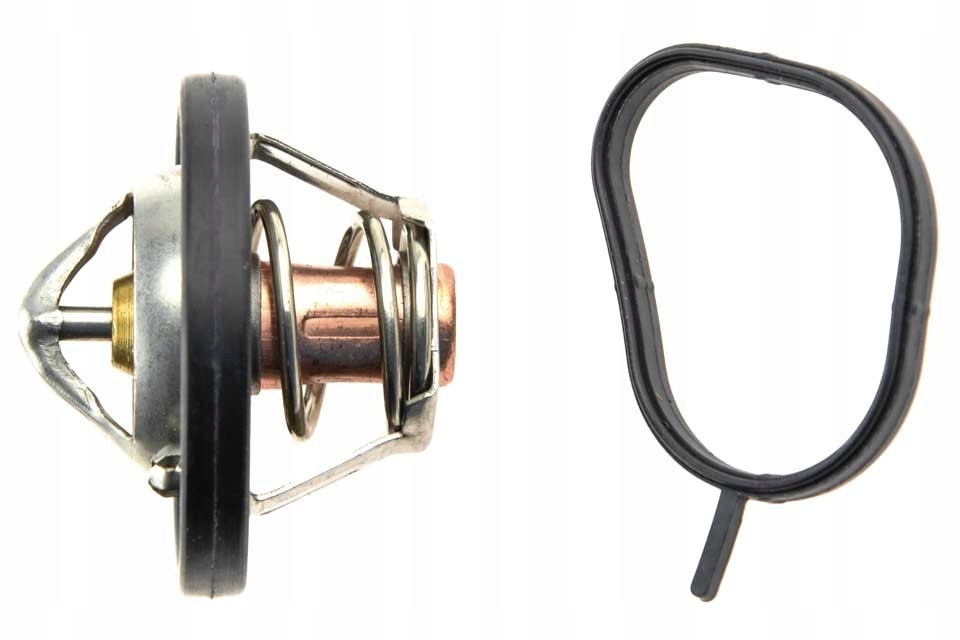 фото №1, Термостат