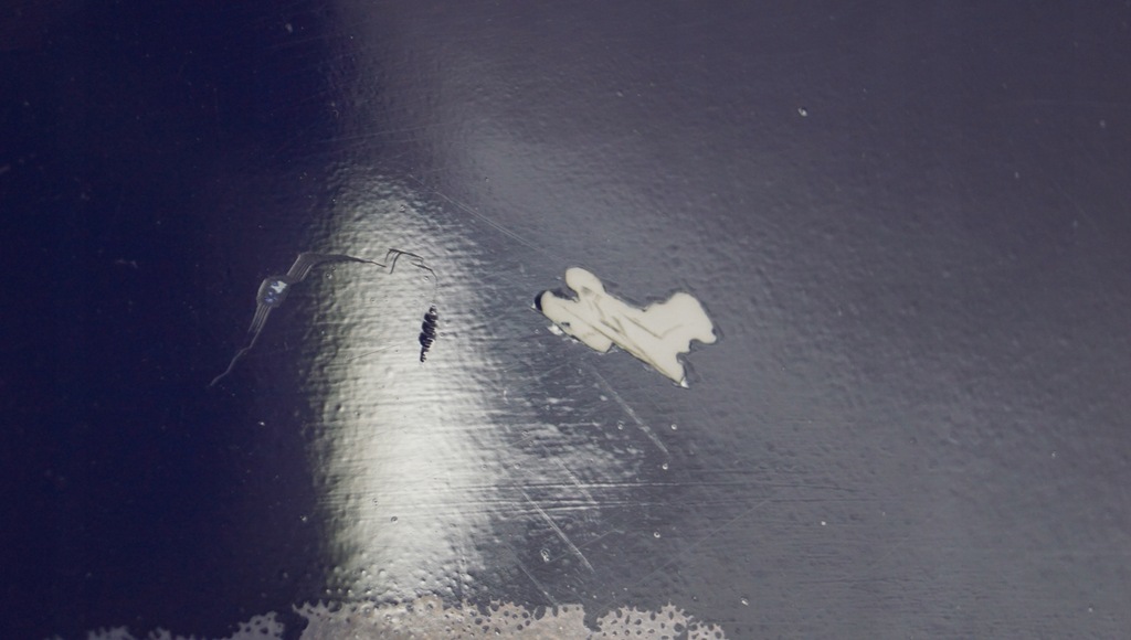 фото №10, Крыло правый перед opel insignia a