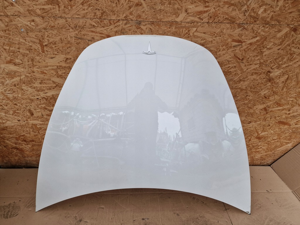 фото №1, Tesla 3 капот