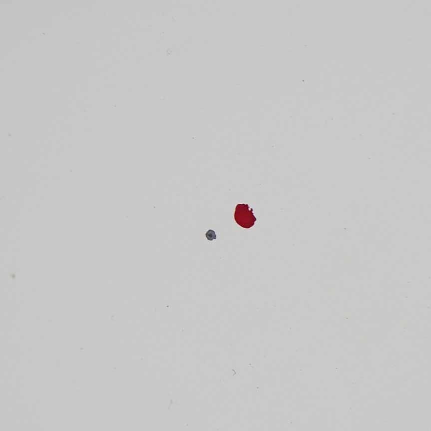 фото №9, Citroen berlingo peugeot partner ii капот двигателя