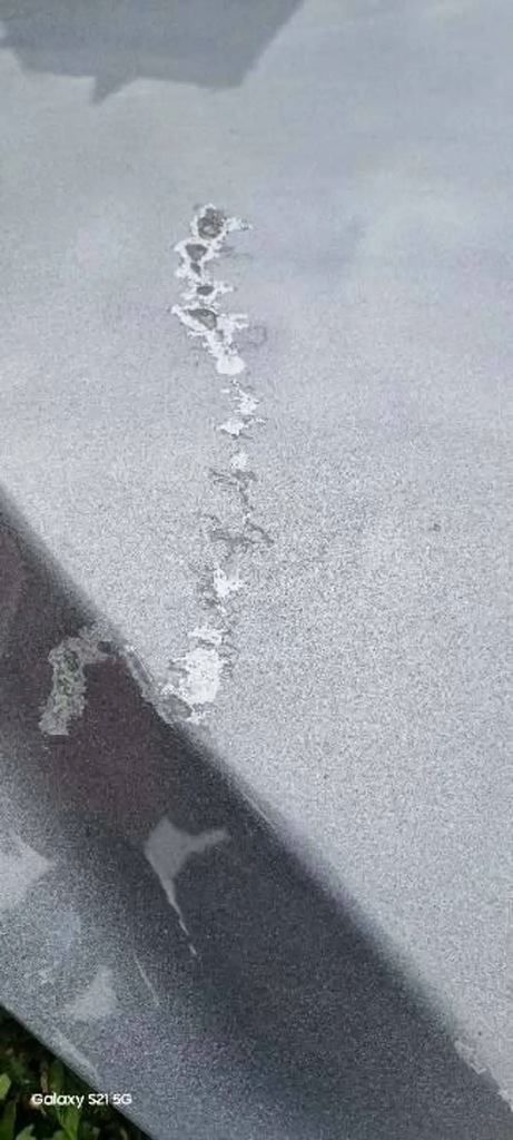 фото №12, Капот крышка двигателя nissan note ii e12 2014