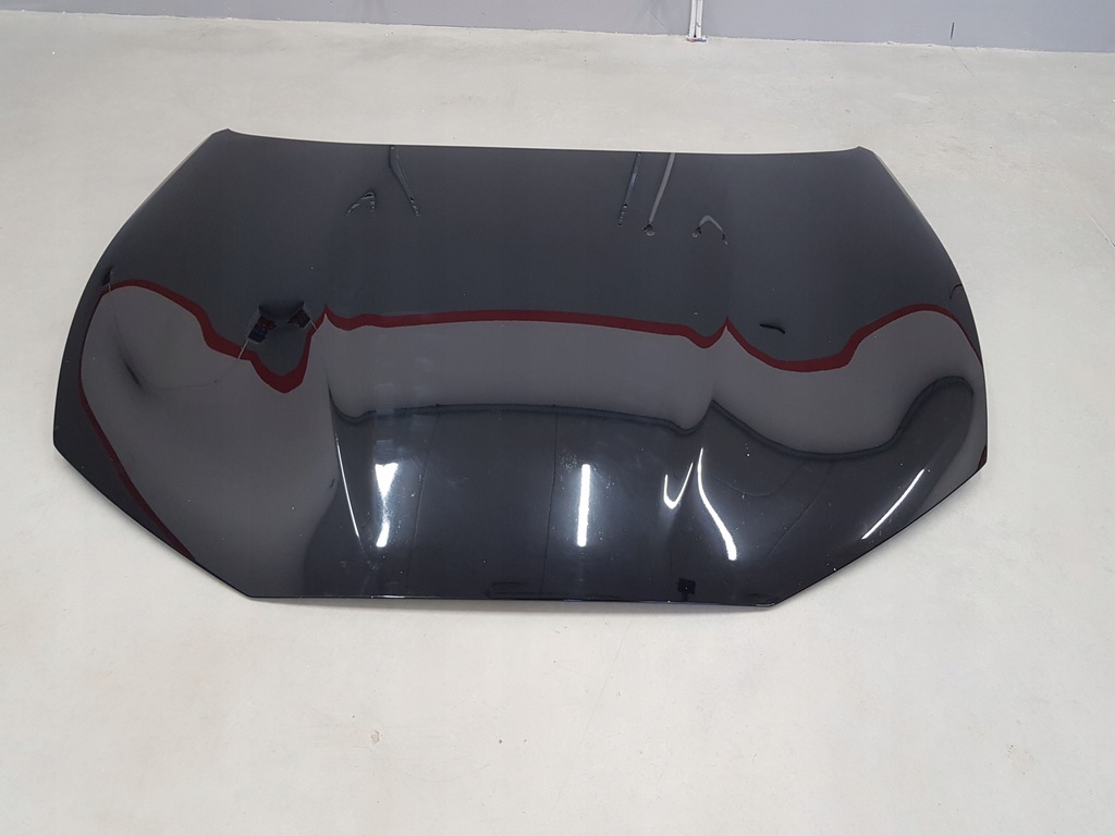 фото №7, Ford mustang e-mach 20- капот