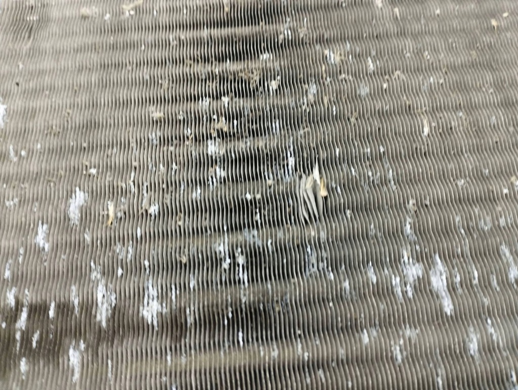 Mercedes-benz a w169 2004 радіатор води a1695000603 Недорого