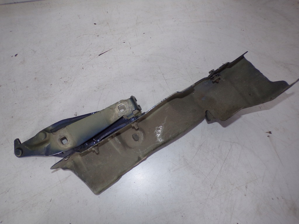 фото №4, Петлі капот правий/лівий scenic ii r03