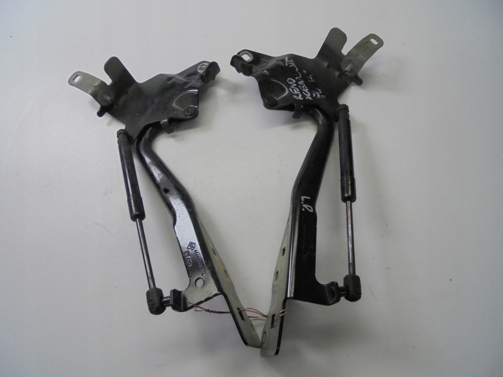 Купити Петлі капот renault scenic iii рестайлінг  короткий 1.2 tce 14 rok tegne