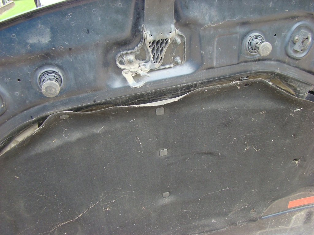 фото №9, Audi a8 d3 капот крышка двигателя