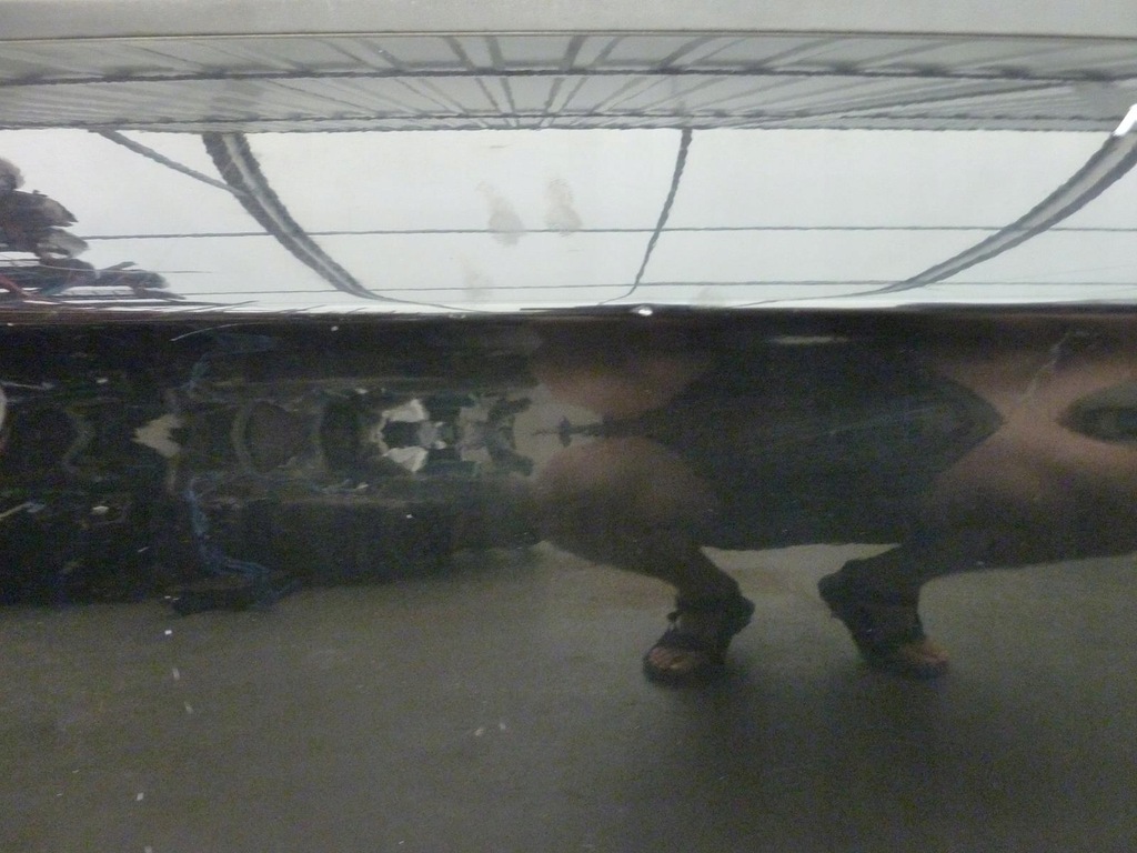 фото №6, Дверь alfa romeo 159 правое передние kod 802/b