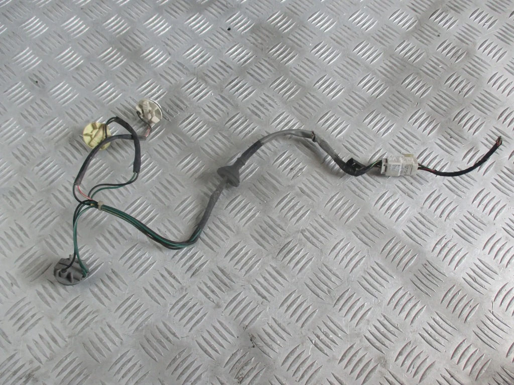 фото №9, Вкладыш лампы задняя hyundai santa fe 00-04