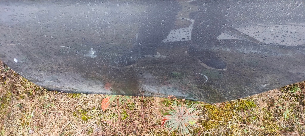 фото №10, Двері лівий задня задні ліва повний alfa romeo giulia