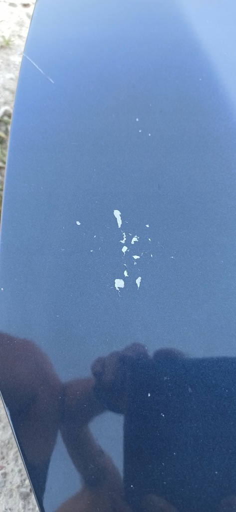 фото №12, Капот opel astra iv j оригінальний лак z22a