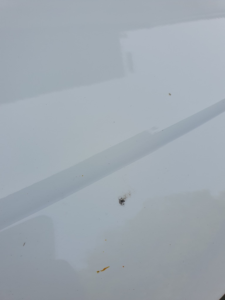 фото №4, Кришка багажника задня kia proceed i