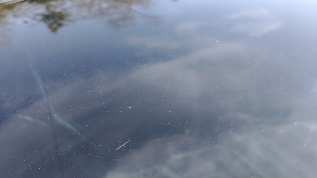 фото №13, Tesla model 3 чверть ліва права задня задня дах панорама