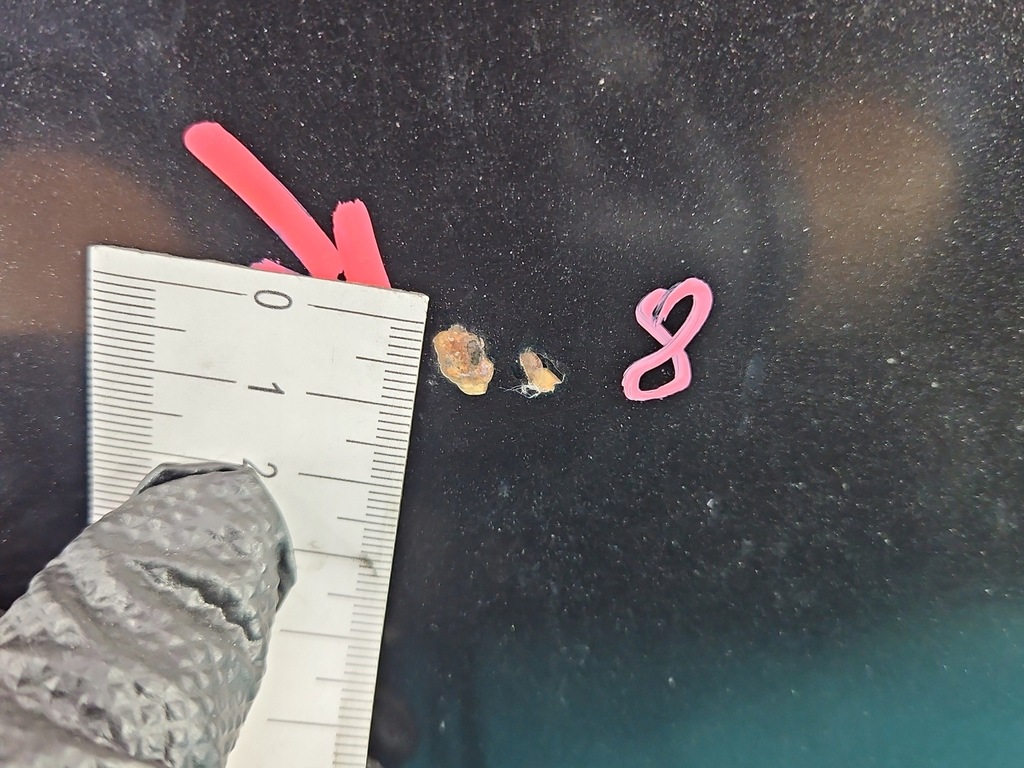 фото №10, Капот передняя opel zafira a z298