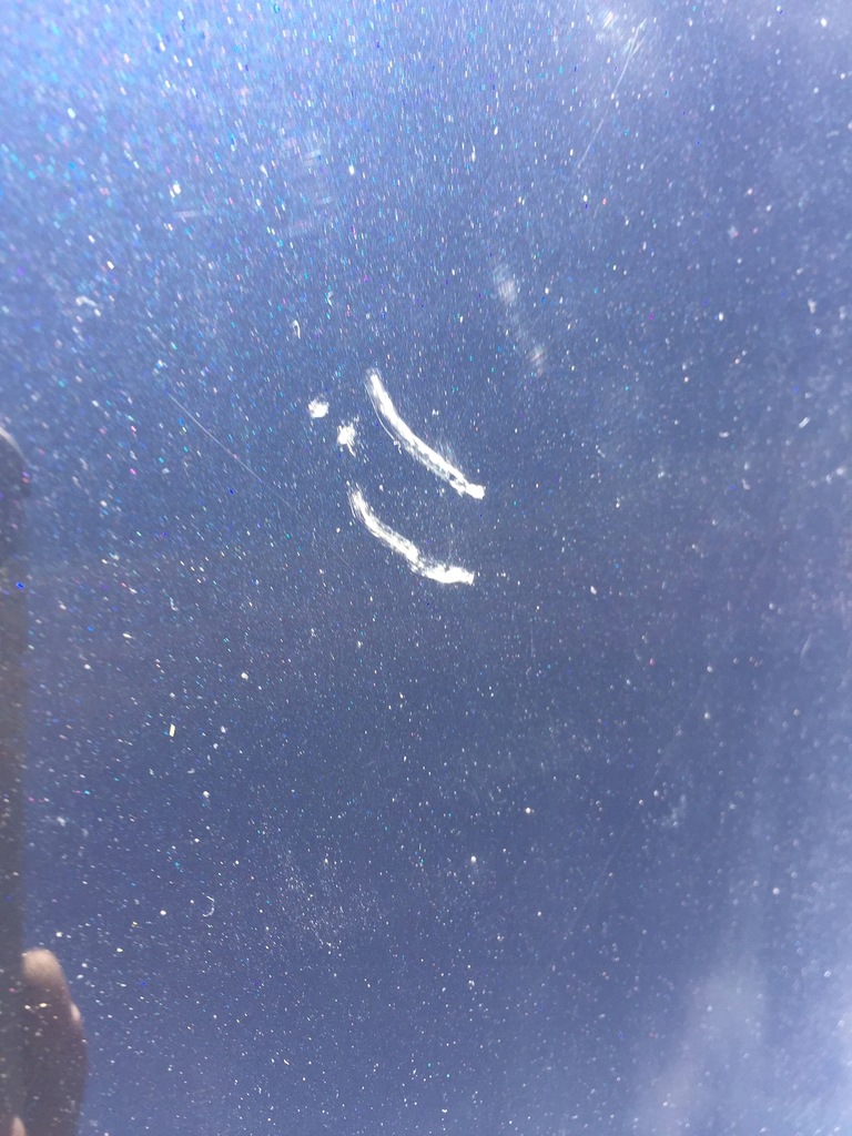 фото №10, Audi a8 d3 lz5d двері ліва передні лівий перед