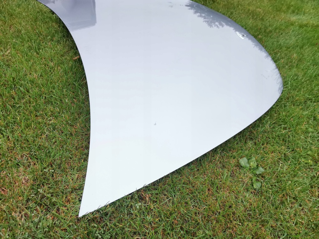 фото №5, Tesla y капот do фарбування