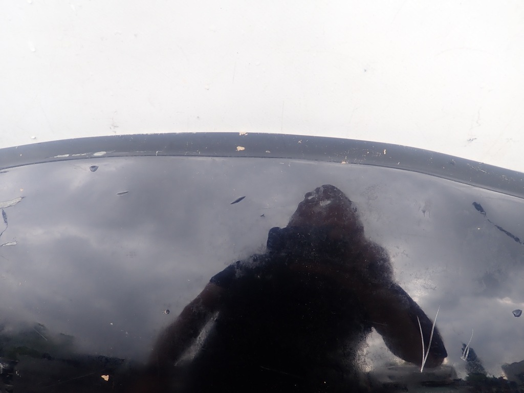 фото №6, Nissan juke 10- капот крышка двигателя