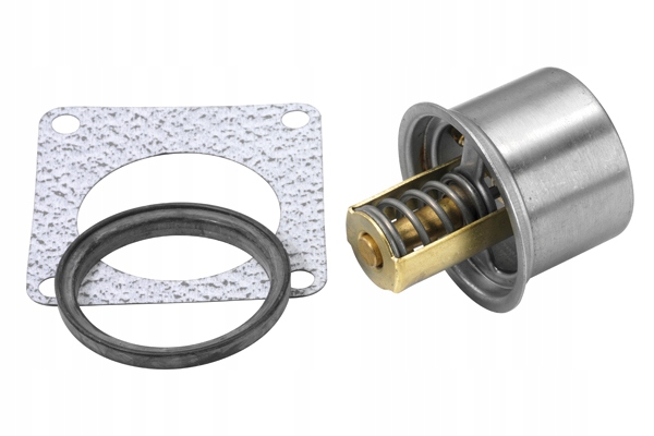 фото №1, Термостат borgwarner wahler 411045.82d