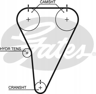 фото №2, Ремінь розподільного валу t215rb gates lexus toyota gs is
