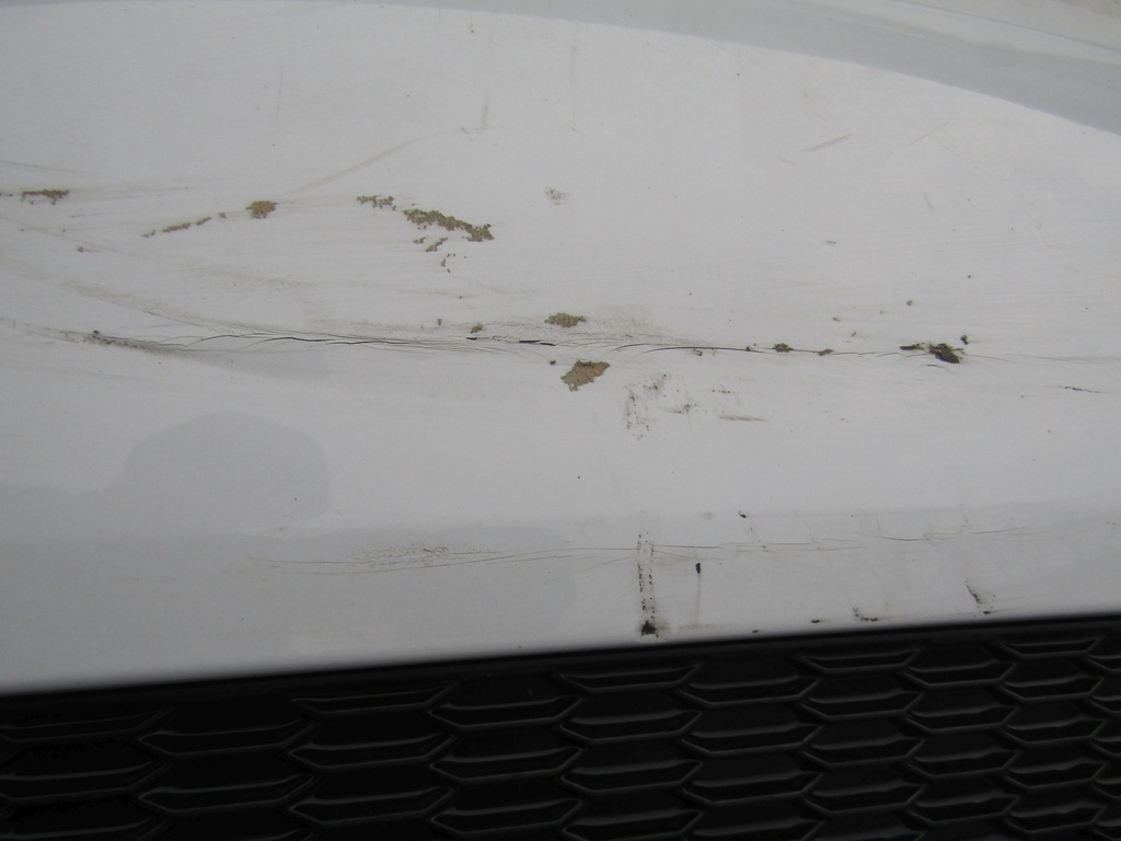 фото №9, Бампер audi tt 8s 14-18 задняя pdc s-line