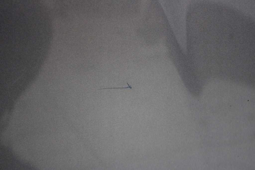 фото №12, Subaru impreza gg lift 2006r- капот кришка двигуна