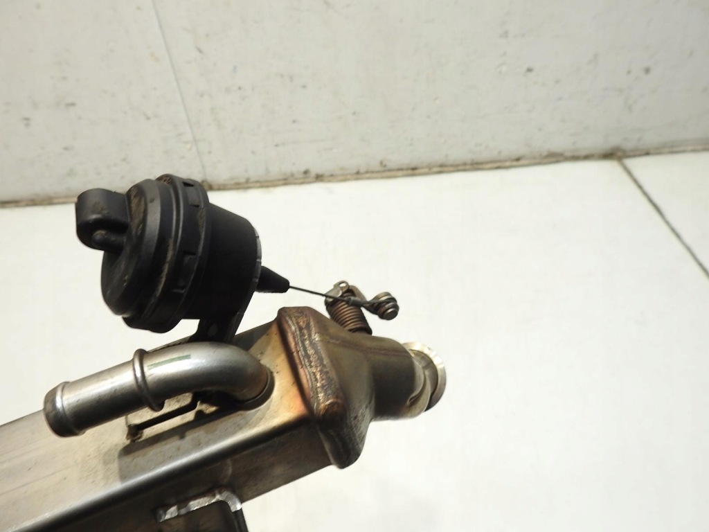 фото №3, Радіатор вихлопних газів renault scenic iii 2.0 dci 8200719993c