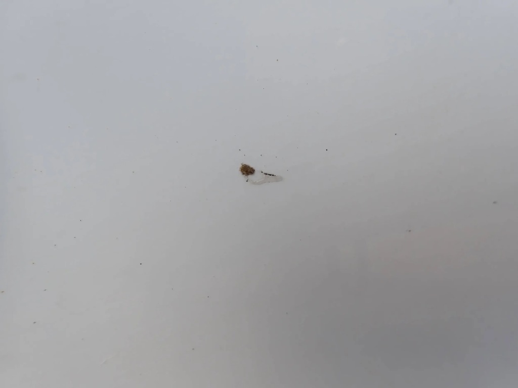 фото №7, Дверь левая задняя задние citroen c3 picasso ewp ewpb