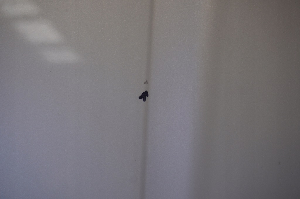 фото №7, Капот крылья bmw ix i20 a96