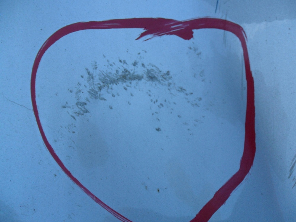 фото №4, Toyota rav4 xa30 2006- капот