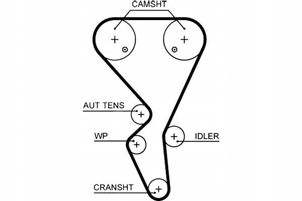 фото №2, Ремень распределительного вала citroen berlingo berlingo multispac