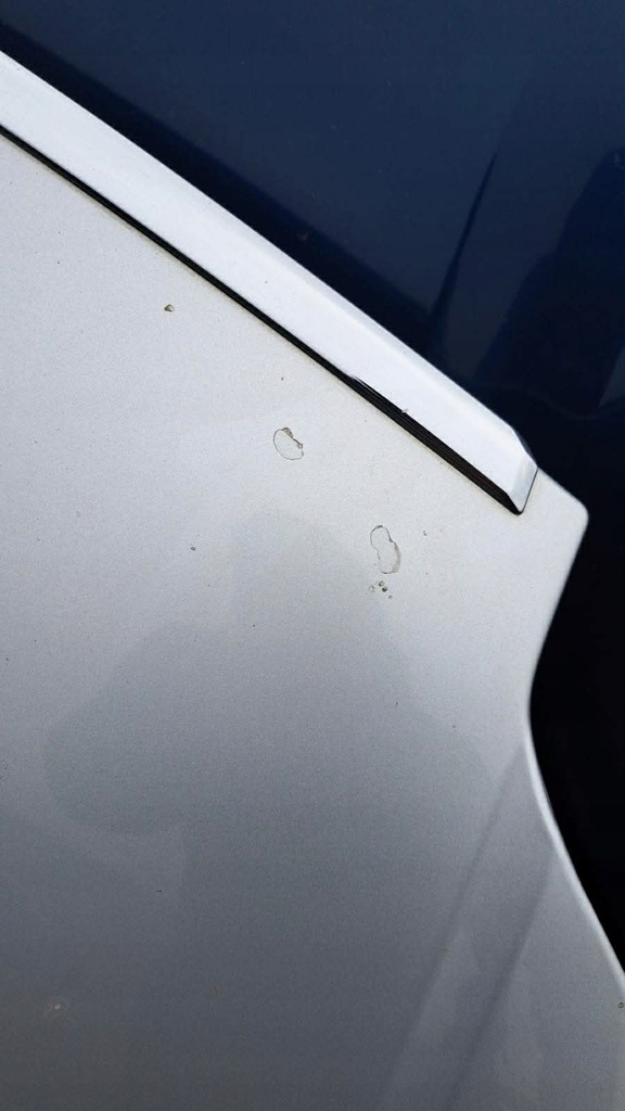 фото №5, Капот крышка двигателя citroen c5 ii lift ezrc